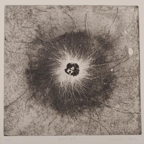 版画 RF 銅版画で上田寛が制作した原生生物をイメージした銅版画「プロティスト」