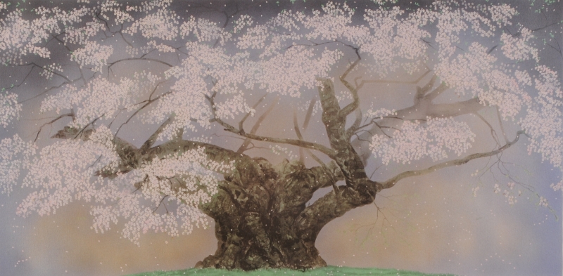 桜の絵をリトグラフの版画で制作した中島千波の和の桜の絵「樹霊淡墨桜 