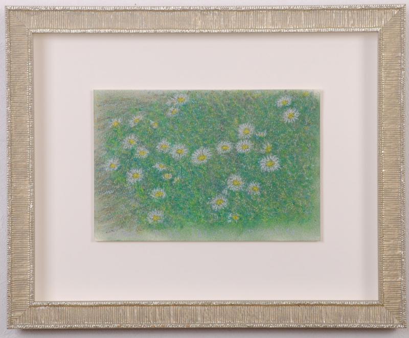 クレヨン画の絵画で瀬崎正人が描いた雛菊の花の絵のクレヨン画「ほと
