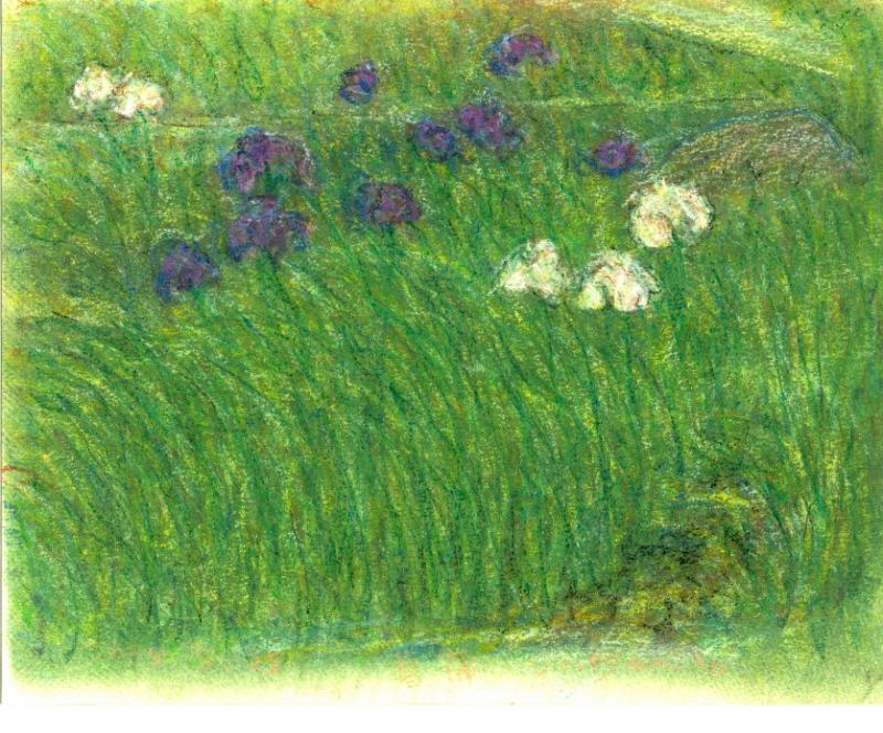 絵画のクレヨン画で瀬崎正人が描いた花の絵「菖蒲」を通販で販売